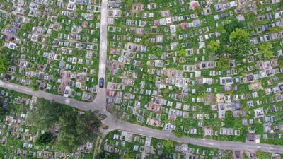 У Львові запустять на території найбільшого цвинтаря  безкоштовний транспорт для відвідувачів