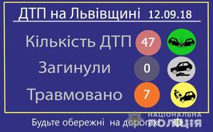 На Львівщині, за минулу добу, у ДТП травмувалося 7 осіб