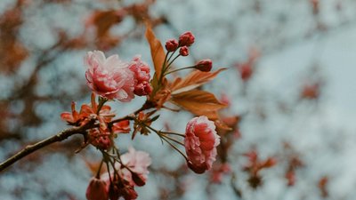 Якою буде погода у Львові та області завтра, 13 квітня