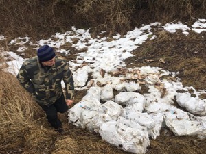 На Жовківщині вдруге за тиждень знайшли звалище з тваринними відходами (фото)