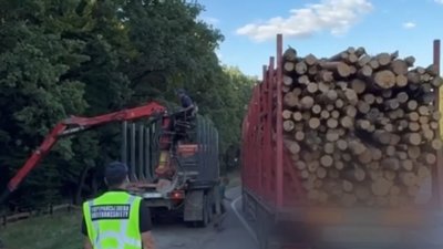 На Львівщині оштрафували перевантажену вантажівку з деревиною