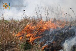 У суботу на Львівщині ліквідовано 14 пожеж сухостою