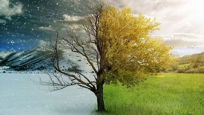 Якою буде погода у Львові та області завтра, 15 травня