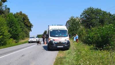 На Львівщині пʼяний водій скоїв смертельну ДТП
