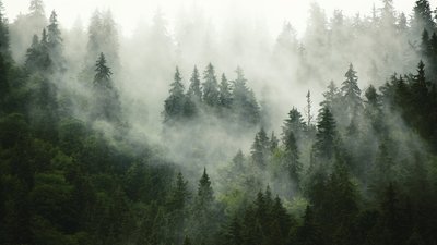 Якою буде погода у Львові та області завтра, 25 травня