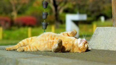 Яким буде день у Львові та області завтра, 21 червня