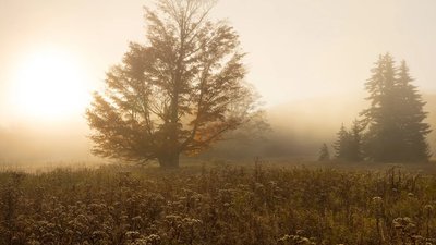 Якою буде погода у Львові та області завтра, 30 листопада