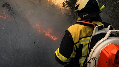 У Львівській області за добу зафіксовано 35 пожеж в екосистемах