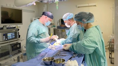 У Львові зі шлунку 13-річної дівчинки дістали 35-сантиметровий клубок волосся