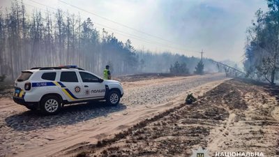 На Рівненщині спалахнула масштабна пожежа у лісі