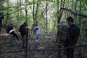 Вбивство ведмедя на Закарпатті: встановлено нові факти скандальної справи (ФОТО)