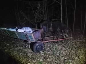 Контрабандисти з Волині намалися підводами перевести сало у Білорусь (фото)