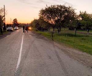 На Прикарпатті неповнолітній хлопець за кермом автомобіля влетів в паркан, опинившись на подвір'ї будинку(фото)