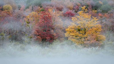Якою буде погода у Львові та області завтра, 11 жовтня