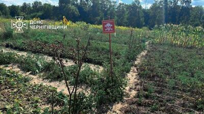 Сапери шоковані: на Чернігівщині місцеві мешканці підв’язують овочі табличками «Небезпечно, міни!» (ФОТО/ВІДЕО)