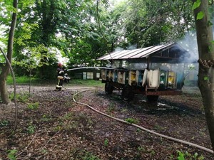 На Львівщині згоріли вулики (фото)