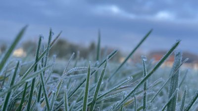 Яким буде день у Львові та області завтра, 16 травня