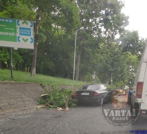 Біля Краківського ринку у Львові на автомобіль впала товста гілка дерева (фото)