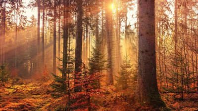 Якою буде погода у Львові та області завтра, 4 жовтня