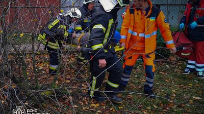 На Львівщині чоловік постраждав під час обрізки дерев