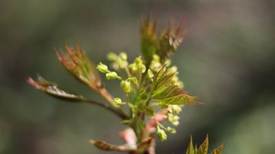 Дощі та навіть заморозки: синоптикиня попередила про різку зміну погоди в Україні