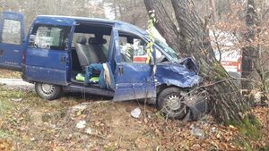 На Львівщині водій на швидкості врізався в дерево і загинув