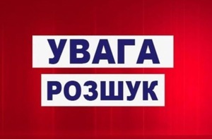 Правоохоронці розшукують водія, який збив пішохода і втік