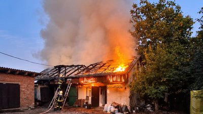 У Львівському районі під час пожеж надзвичайники врятували тварин, гараж та будівлю