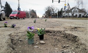 Квіти в дорожніх ямах: до приїзду президентського подружжя Закарпаття нарешті "готове" (фото, відео)