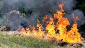 У Львівській області очікується надзвичайна пожежна небезпека