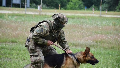 Ухилянт із Запоріжжя заблукав у Карпатах і просив про порятунок поліцію (ФОТО)