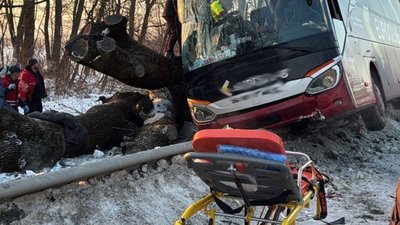 На Львівщині міжнародний автобус «Відень - Київ» врізався у дерево: постраждали 11 пасажирів