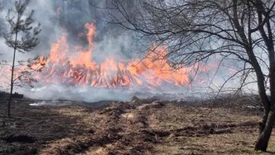 Стала відома величезна сума збитків, які завдала росія українському довкіллю