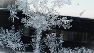 У Bild прогнозують катастрофічну зиму для українців