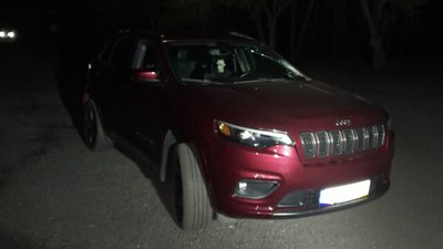 У Львівській області пʼяний водій збив двох пішоходів