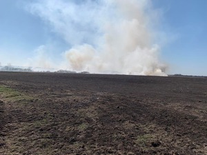 У Львівській області 5 разів горіла суха трава