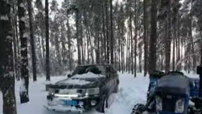 Біля західного кордону поліцейські з лісниками кілька годин прочісували ліс у пошуках замерзаючих чоловіків (ВІДЕО)