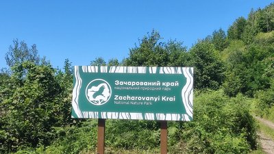 Жінка із Закарпаття спалюючи сухостій завдала збитків на 24 мільйони гривень