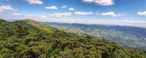 На Львівщині рятувальники допомогли заблукалій донеччанці