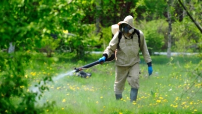 У Львові стартувала обробка парків: терміни