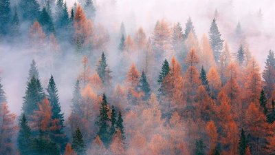 Якою буде погода у Львові та області завтра, 10 жовтня