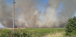 Неподалік Львова масштабна пожежа: горить сухостій (фото, відео)