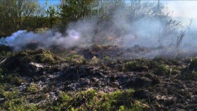 Найближчими днями у Львівській області збережеться висока пожежна безпека