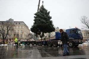 Менша і скромніша: яким буде святкове дерево у Львові (ФОТО)