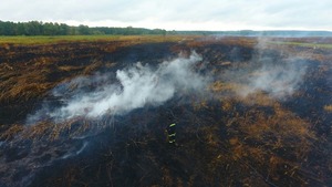 На Львівщині, поблизу села Підсоснів, три тижні горить торф