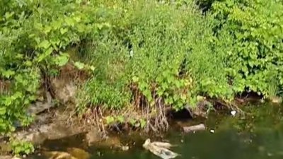 В озерах біля львівського іподрому шукали тіло молодої жінки (ВІДЕО)