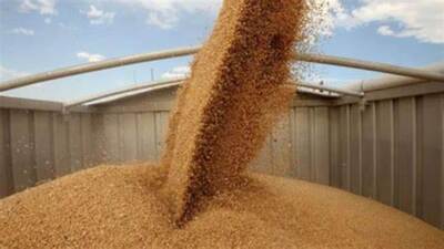 Україна відправить до Нігерії 25 тис. тонн зерна в межах програми Grain from Ukraine