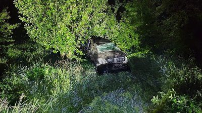 На Львівщині перекинувся автомобіль
