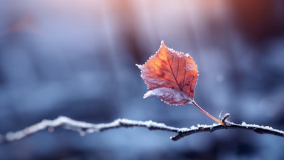 Якою буде погода у Львові та області завтра, 1 грудня