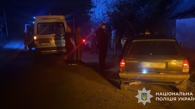 У Львівській області  п'яний водій збив 70-річну пішохідку
